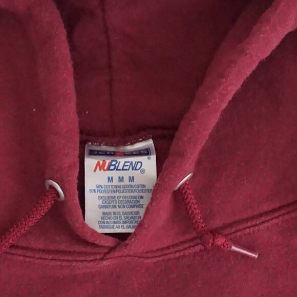 Vintage Niagara Falls Hoodie Maroon Graphic USA Souvenir 90s Travel Sweatshirt M - Picture 9 of 10